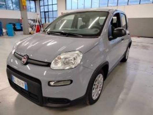 usato FIAT Panda
