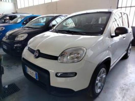 usato FIAT Panda
