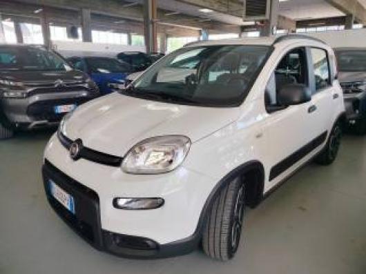 usato FIAT Panda