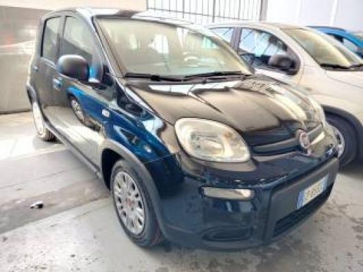 usato FIAT Panda