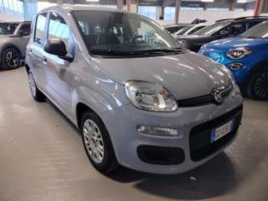 usato FIAT Panda