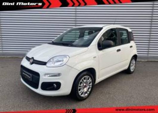 usato FIAT Panda