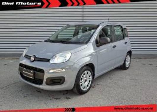 usato FIAT Panda