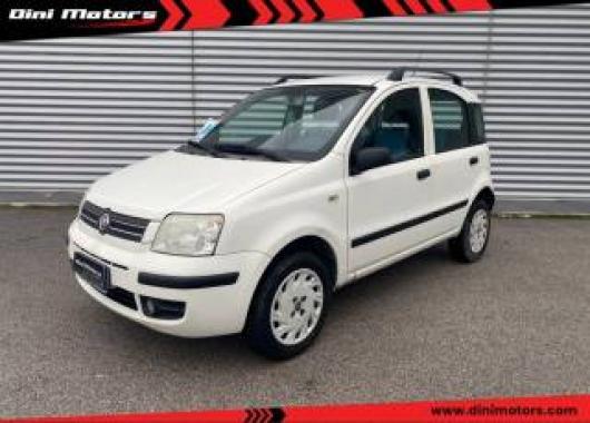 usato FIAT Panda