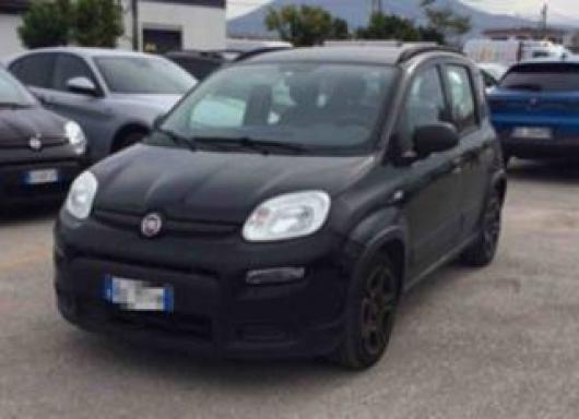 usato FIAT Panda