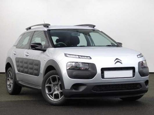 C4 Cactus