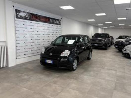 usato FIAT Panda
