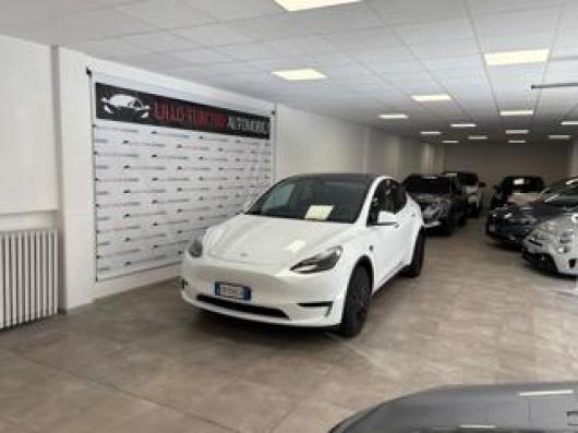 usato TESLA Model Y