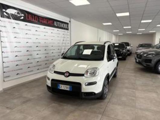 usato FIAT Panda