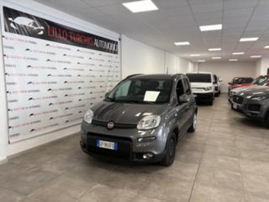 usato FIAT Panda