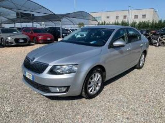 usato SKODA Octavia
