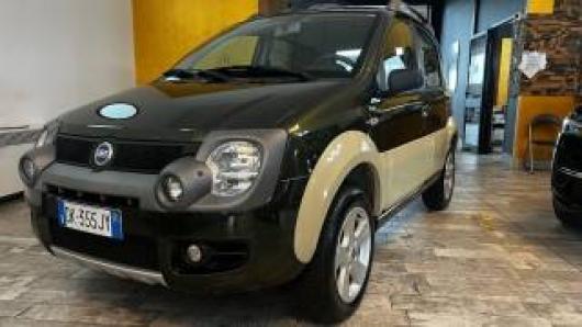 usato FIAT Panda