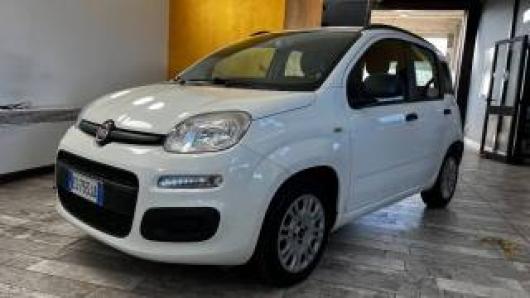 usato FIAT Panda