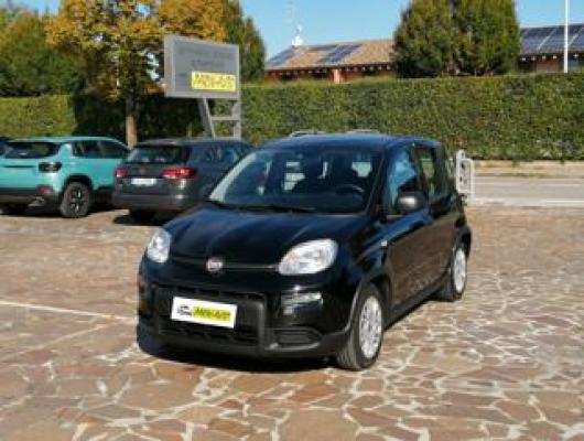usato FIAT Panda