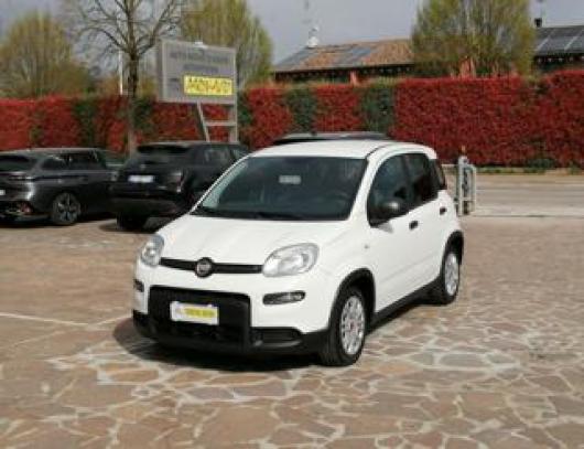 usato FIAT Panda