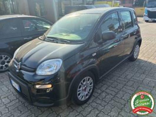 usato FIAT Panda