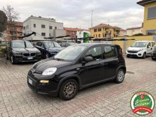 usato FIAT Panda