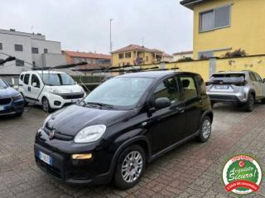 usato FIAT Panda