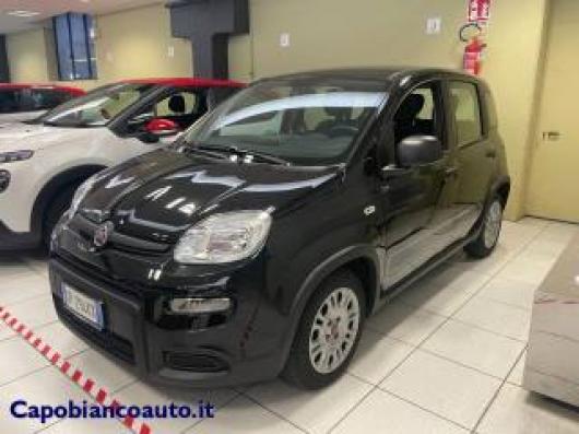 usato FIAT Panda