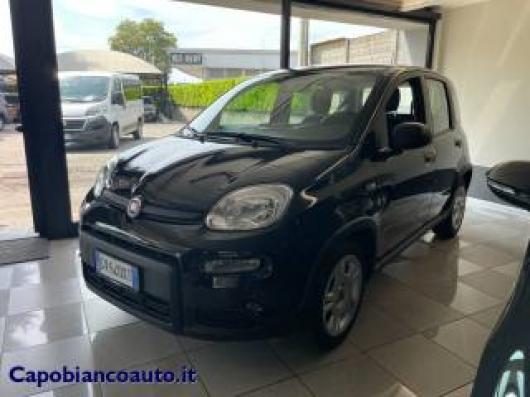 usato FIAT Panda