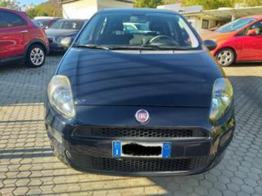 usato FIAT Punto