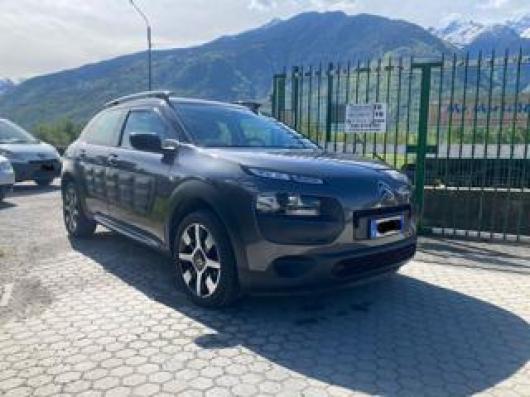 C4 Cactus