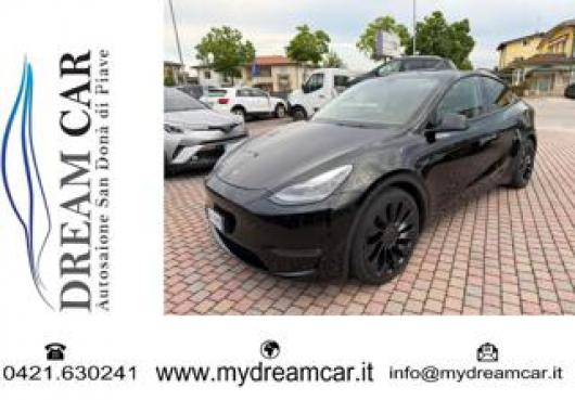 Model Y