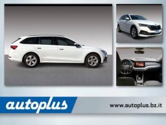 usato SKODA Octavia