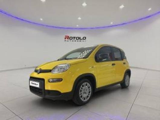 usato FIAT Panda