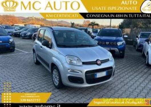 usato FIAT Panda