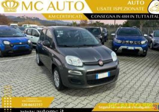 usato FIAT Panda