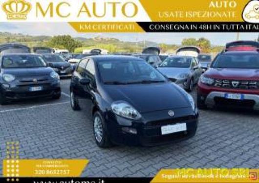 usato FIAT Punto