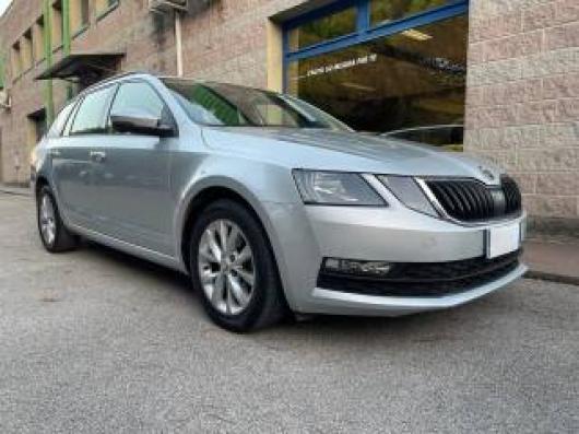 usato SKODA Octavia