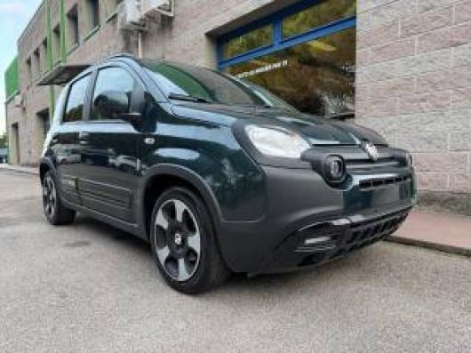 usato FIAT Pandina