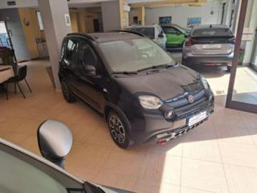 usato FIAT Panda