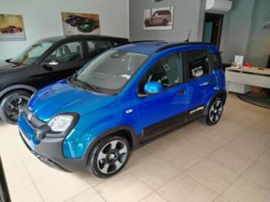 usato FIAT Panda