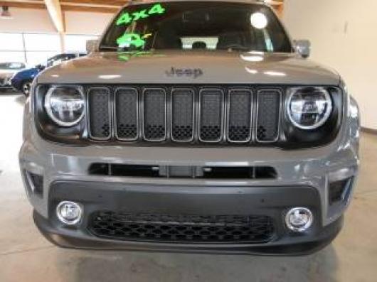 usato JEEP Renegade