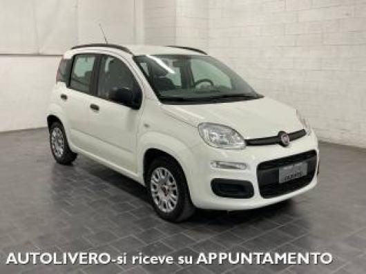 usato FIAT Panda