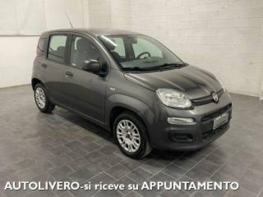 usato FIAT Panda