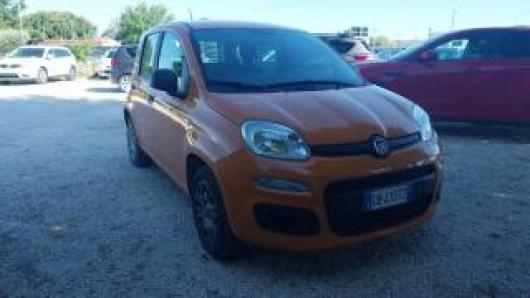 usato FIAT Panda