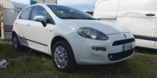 usato FIAT Punto