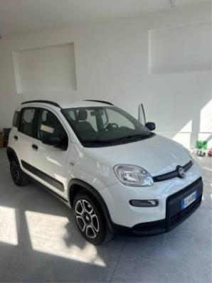 usato FIAT Panda