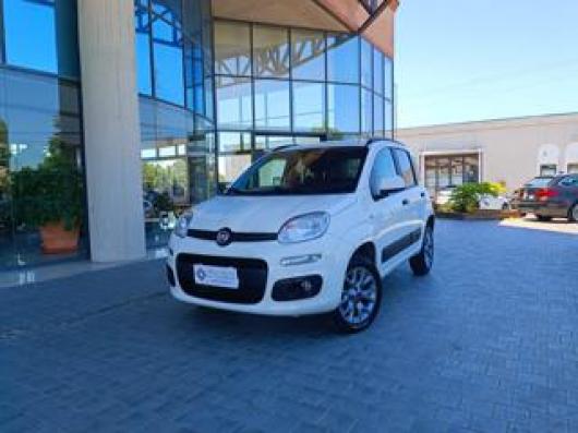 usato FIAT Panda