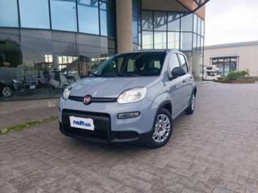 usato FIAT Panda