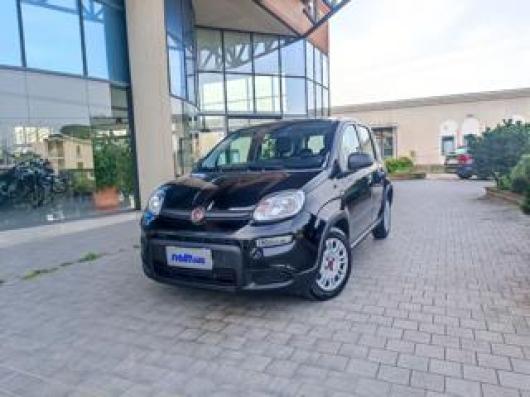 usato FIAT Panda