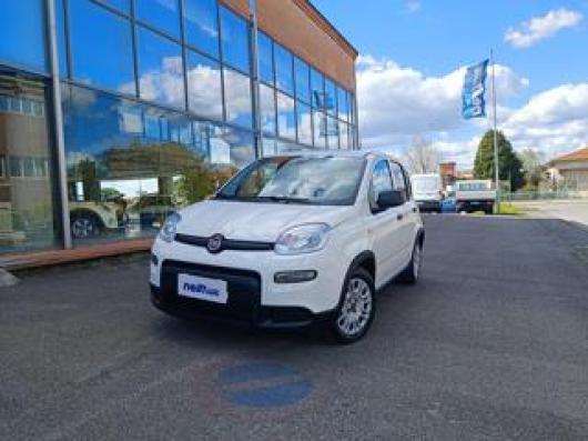 usato FIAT Panda