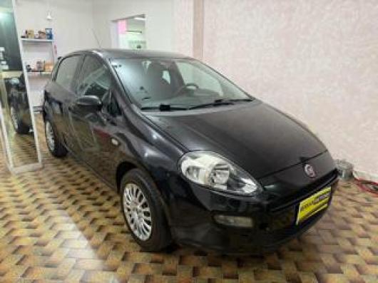 usato FIAT Punto