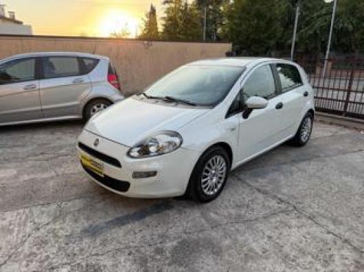 usato FIAT Punto