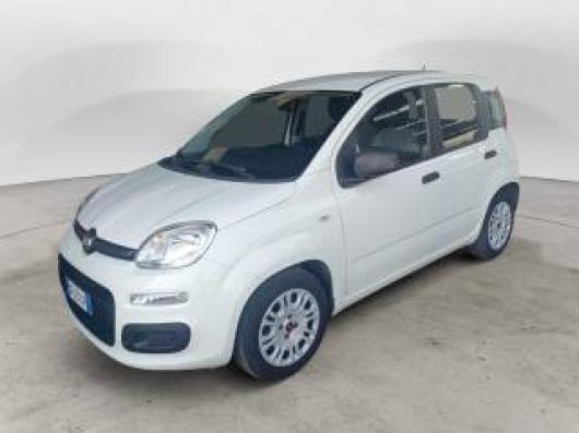 usato FIAT Panda