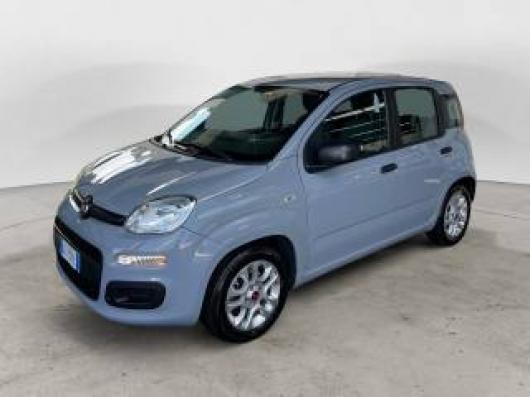 usato FIAT Panda